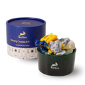 Hop Hare Diffusing Crystals & Floral Set - The Sun