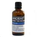 Essential Oil 50ml – Spruce