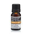 Essential Oil 10ml - Carrot Seed