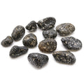 African Tumble Stone x12 - Medium - Guinea Fowl