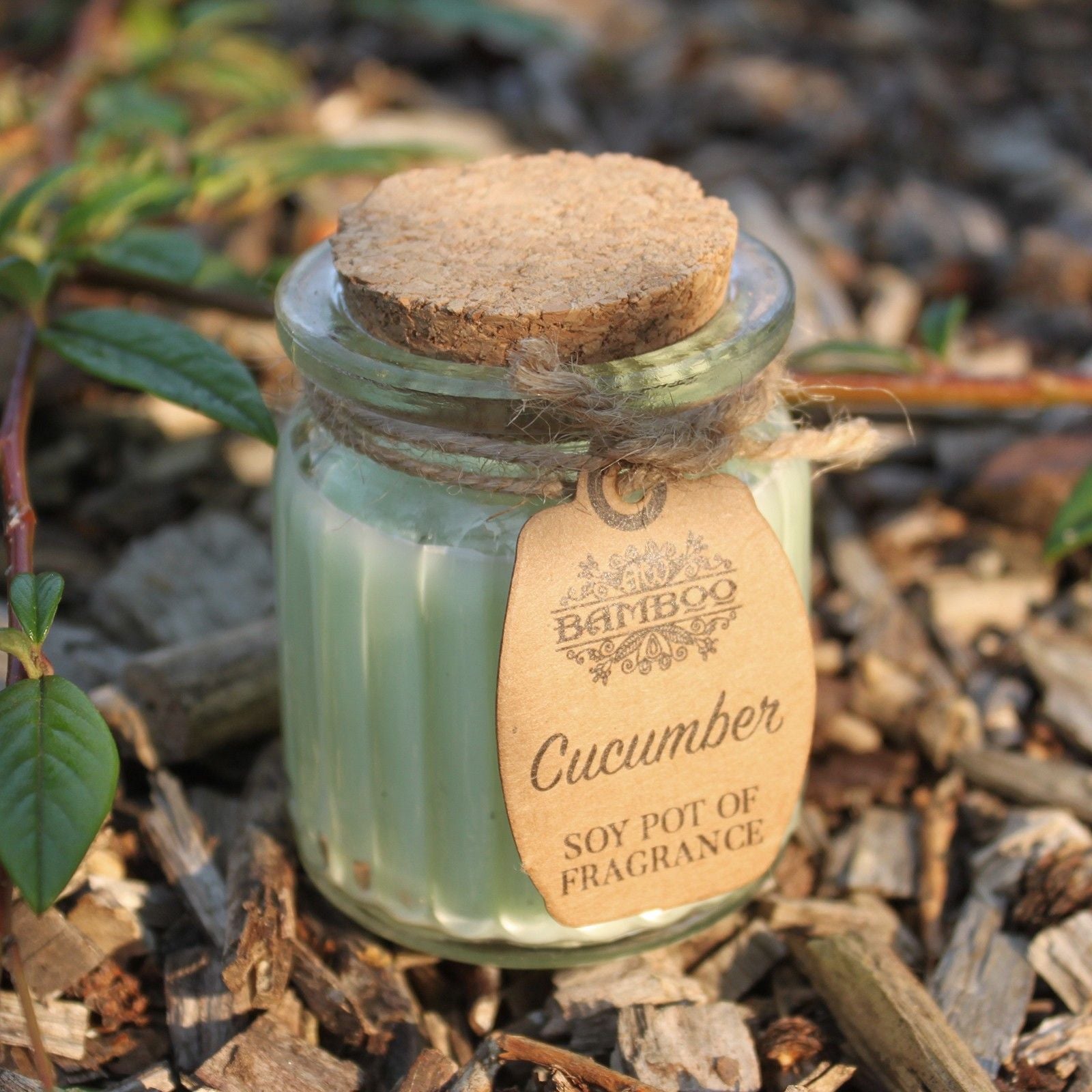 Soy Fragrance Candle Pot – Cucumber