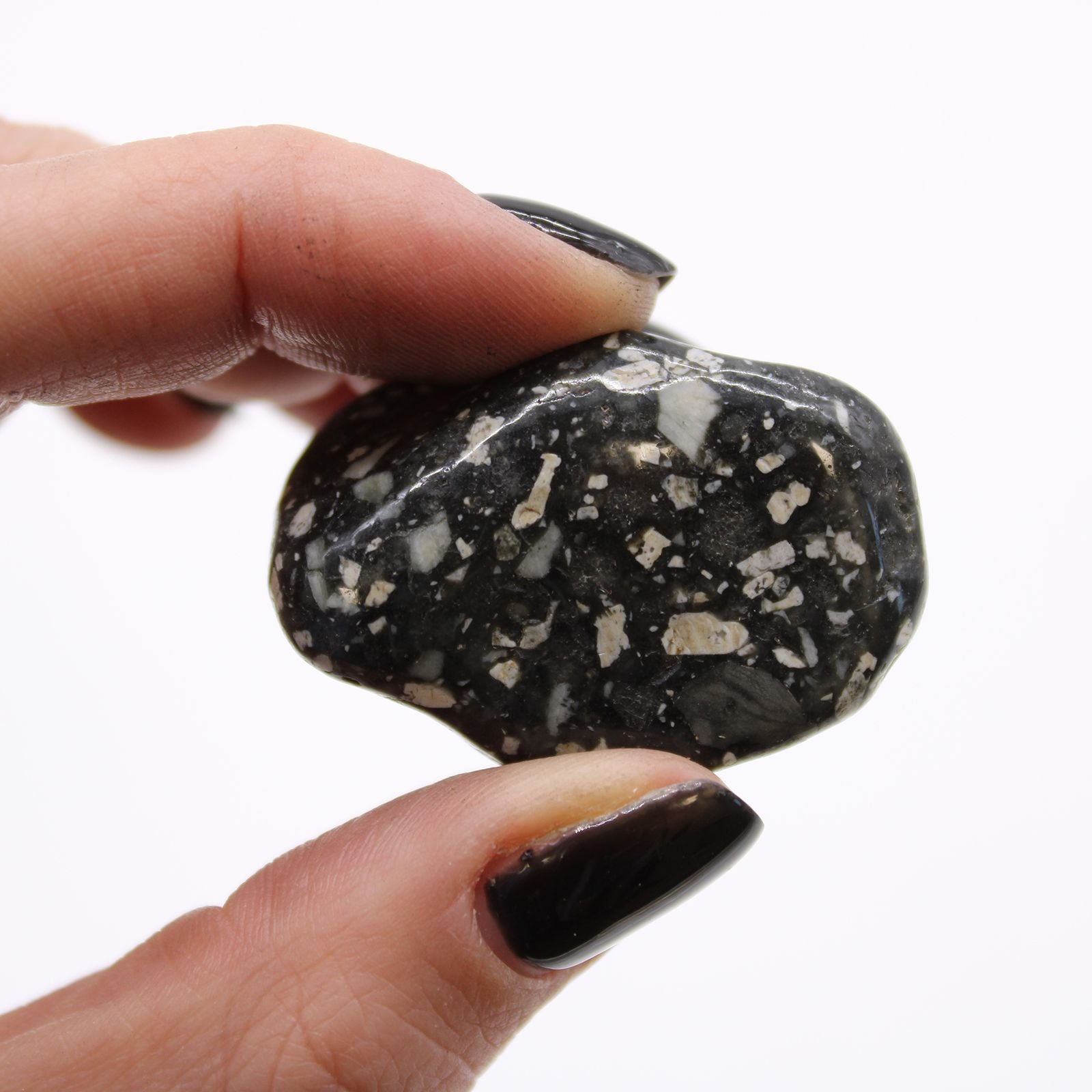 African Tumble Stone x12 - Medium - Guinea Fowl