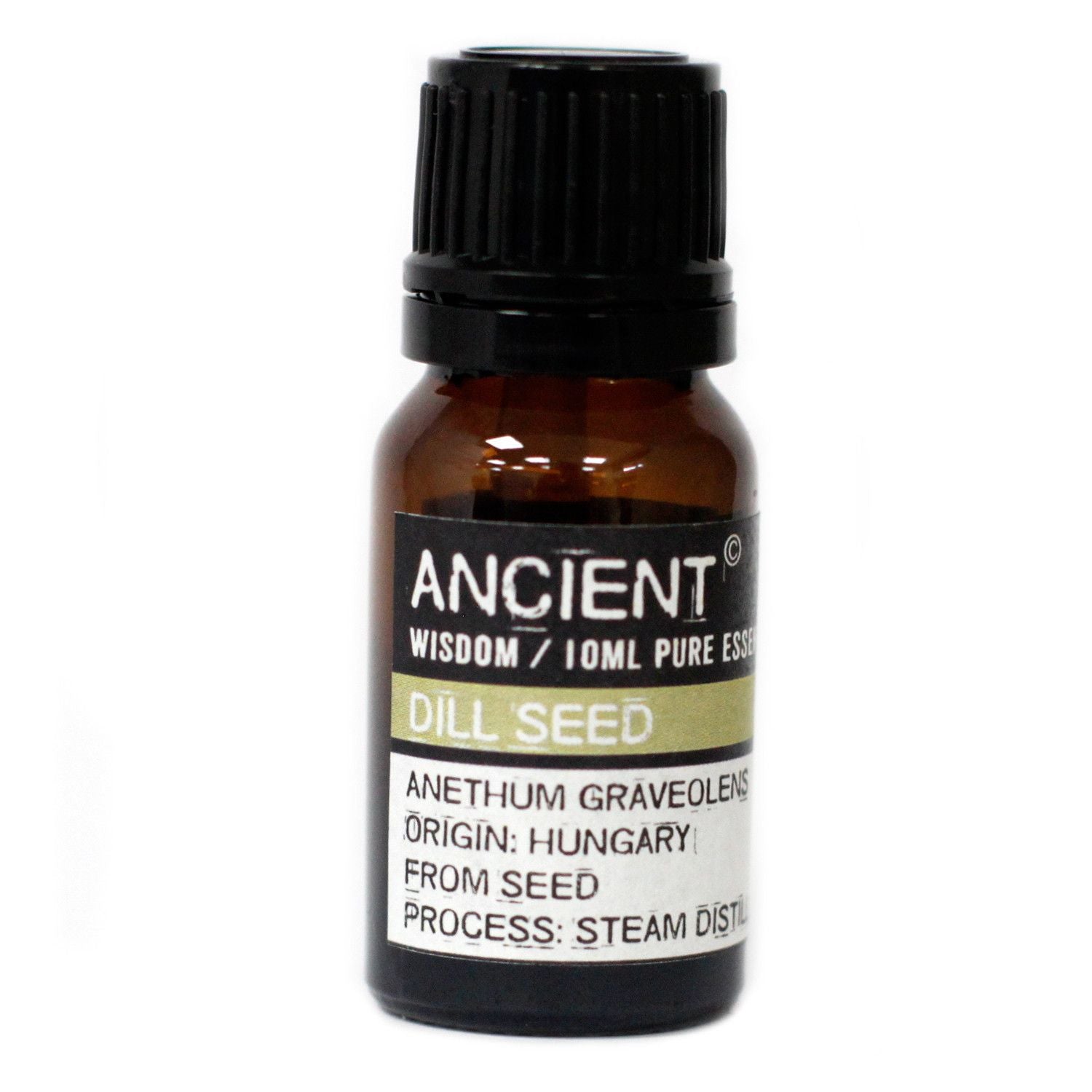 Essential Oil 10ml - Dill Seed