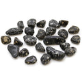African Tumble Stone x24 - Small - Guinea Fowl