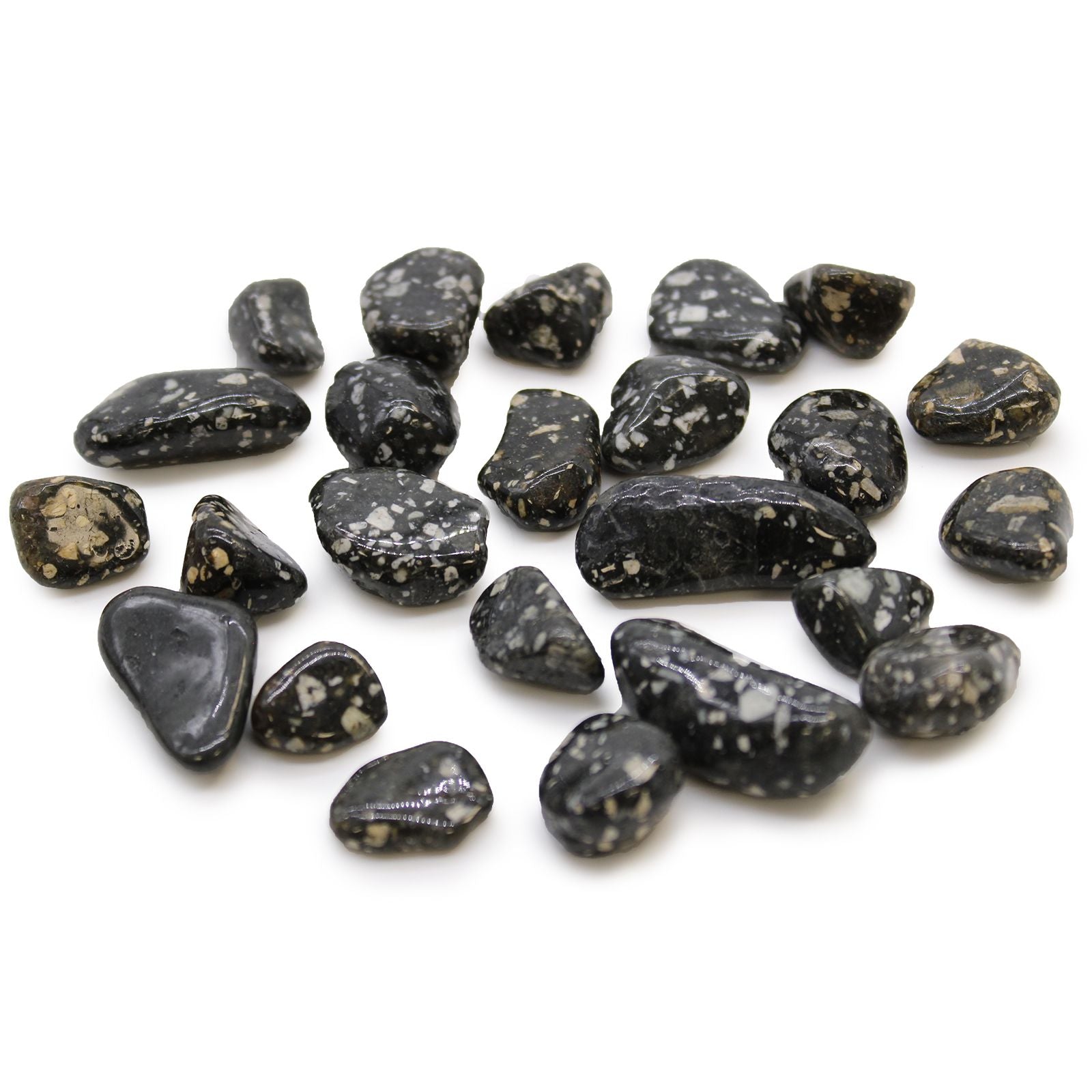 African Tumble Stone x24 - Small - Guinea Fowl