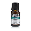 Essential Oil 10ml - Cornmint