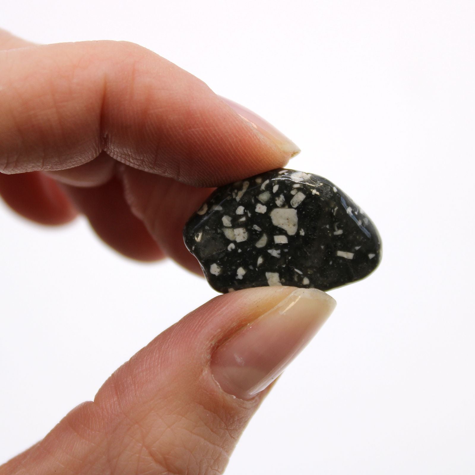 African Tumble Stone x24 - Small - Guinea Fowl
