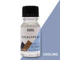 Fragrance Oil 10ml - Eucalyptus