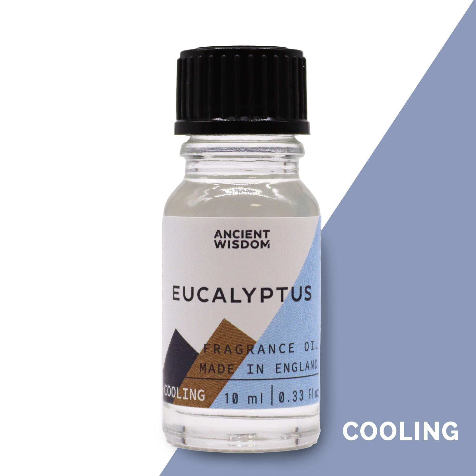 Fragrance Oil 10ml - Eucalyptus