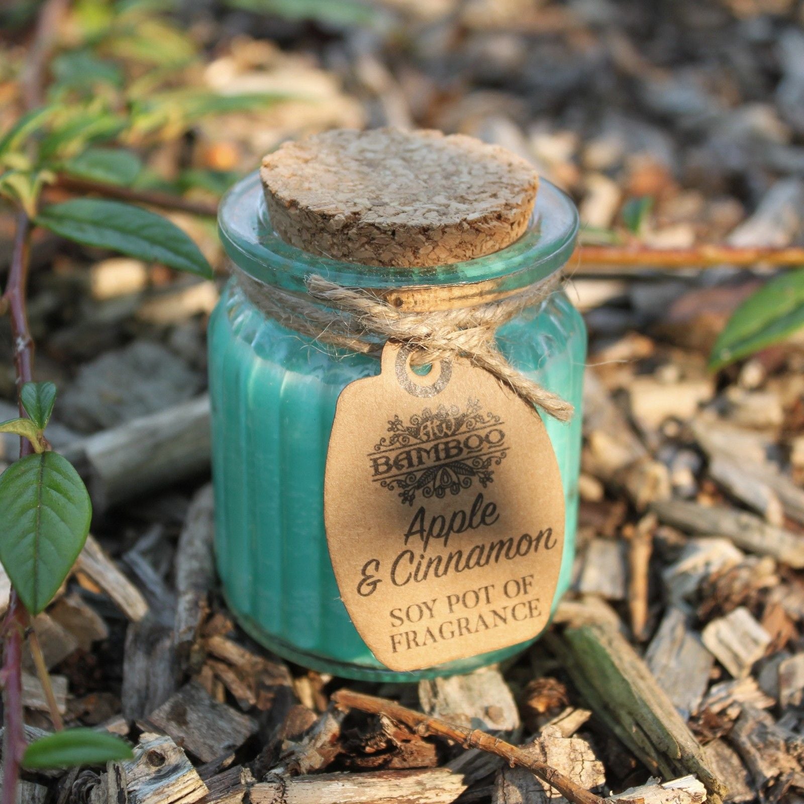 Soy Fragrance Candle Pot – Apple & Cinnamon