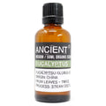 Essential Oil 50ml (Organic) - Eucalyptus