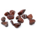 Tumble Stone x24 - L - Petrified Wood