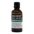 Ätherisches Öl 50ml – Cajeput