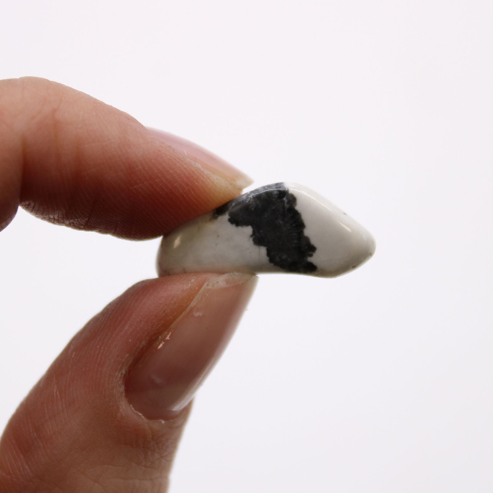 African Tumble Stone x24 - Small - White Howlite (Magnesite)