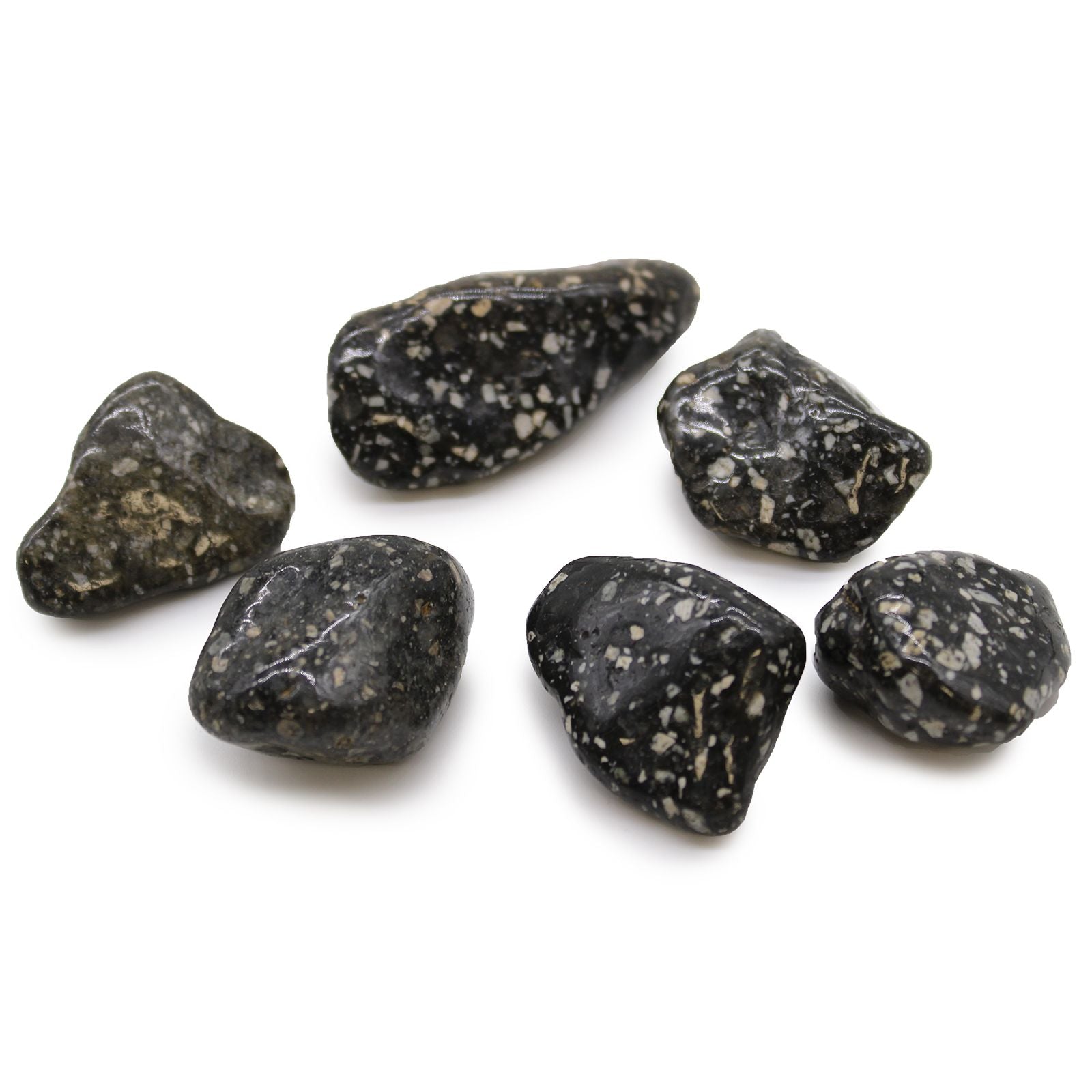 African Tumble Stone x6 - Large - Guinea Fowl