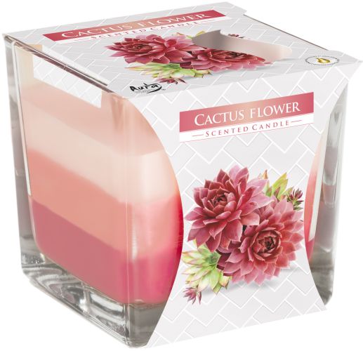 Rainbow Jar Candle -  Cactus Flower