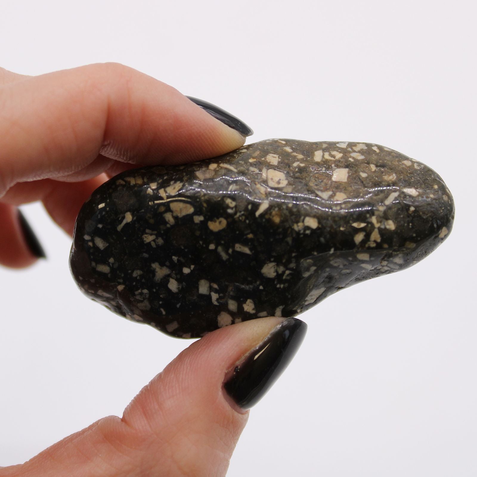 African Tumble Stone x6 - Large - Guinea Fowl
