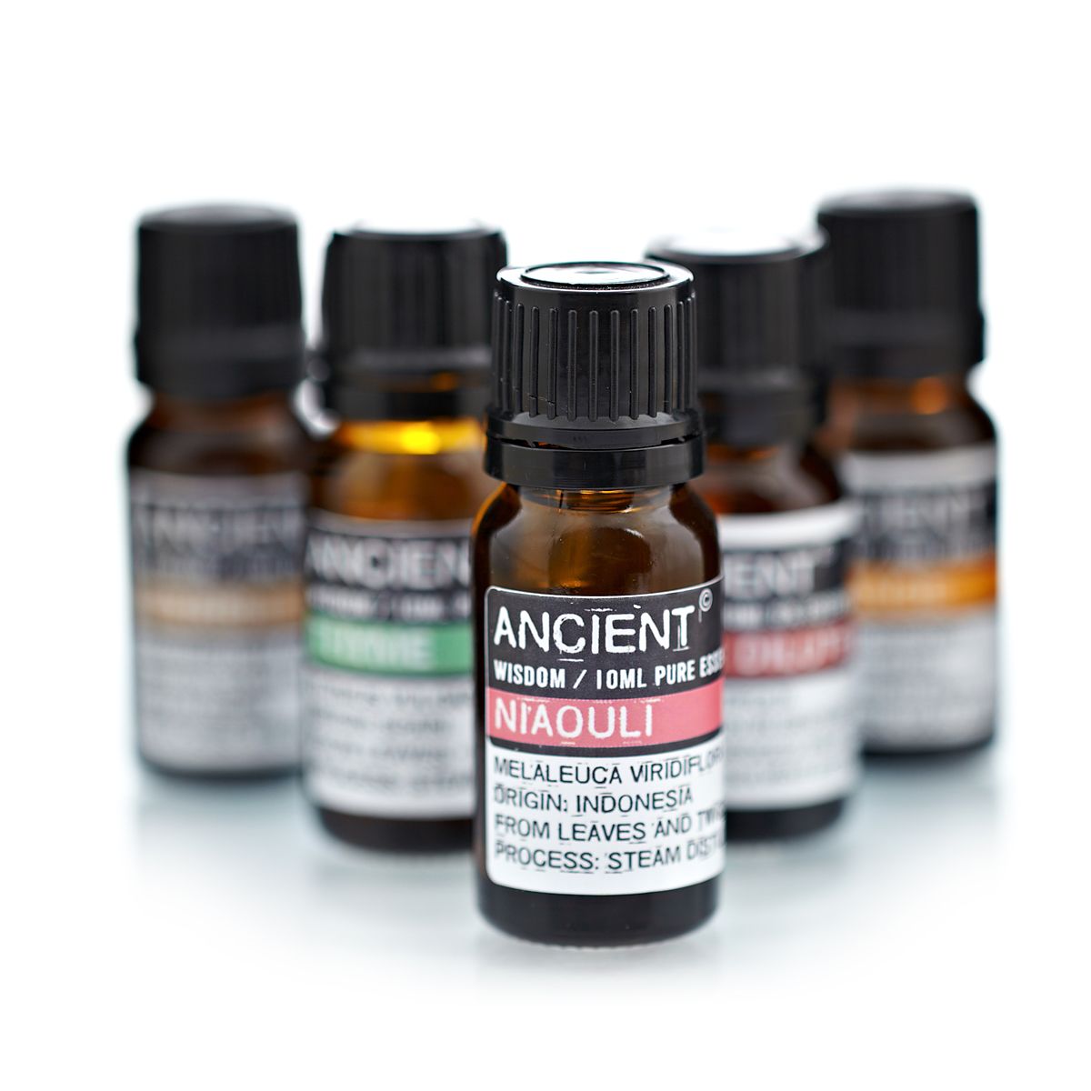 Essential Oil 10ml - Niaouli