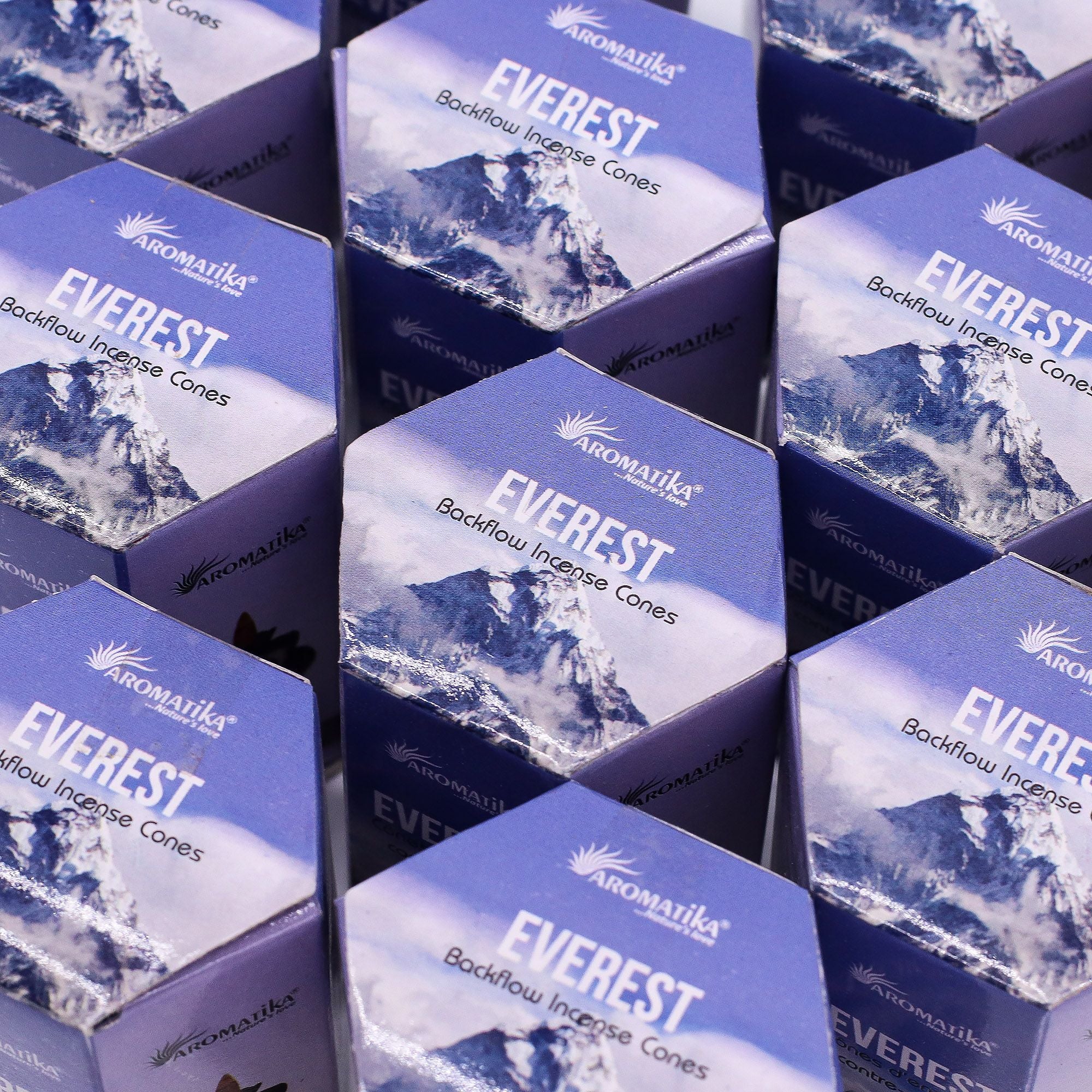 Masala Backflow Incense Cones - Everest