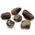 African Tumble Stone x6 - Large - Jasper Nguni