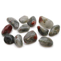African Tumble Stone x12 - Medium - Bloodstone (Sephtonite)