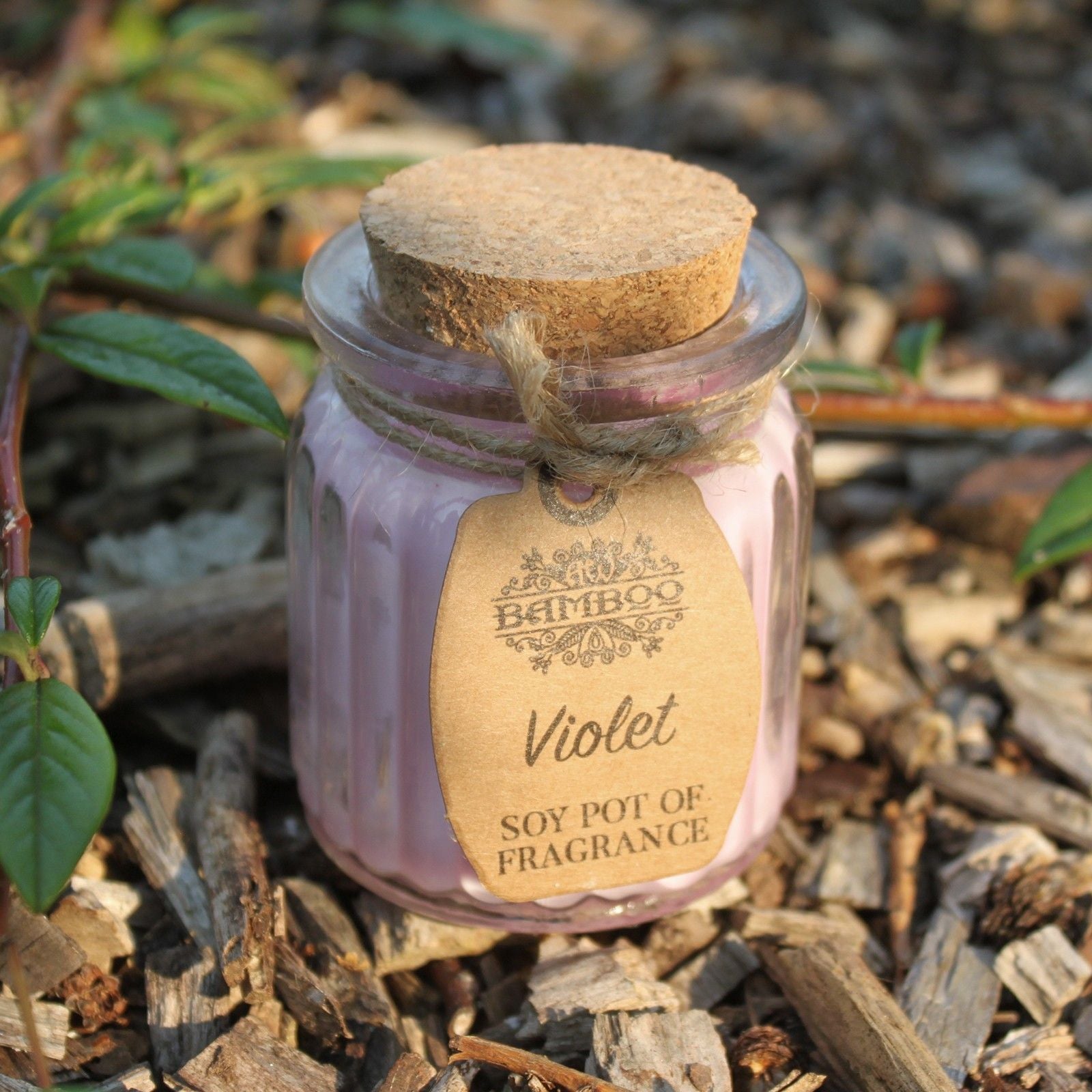 Soy Fragrance Candle Pot – Violet
