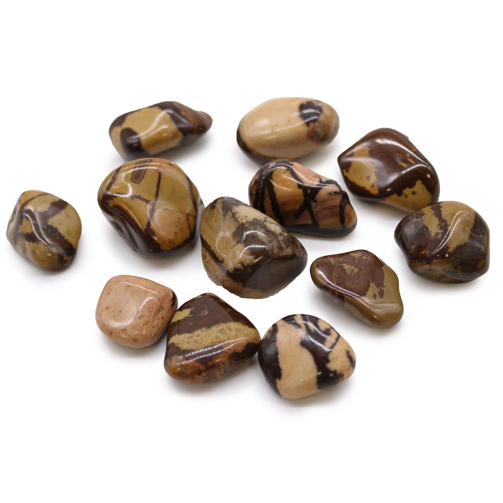 African Tumble Stone x12 - Medium - Jasper Nguni