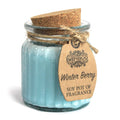 Soy Fragrance Candle Pot – Winter Berry