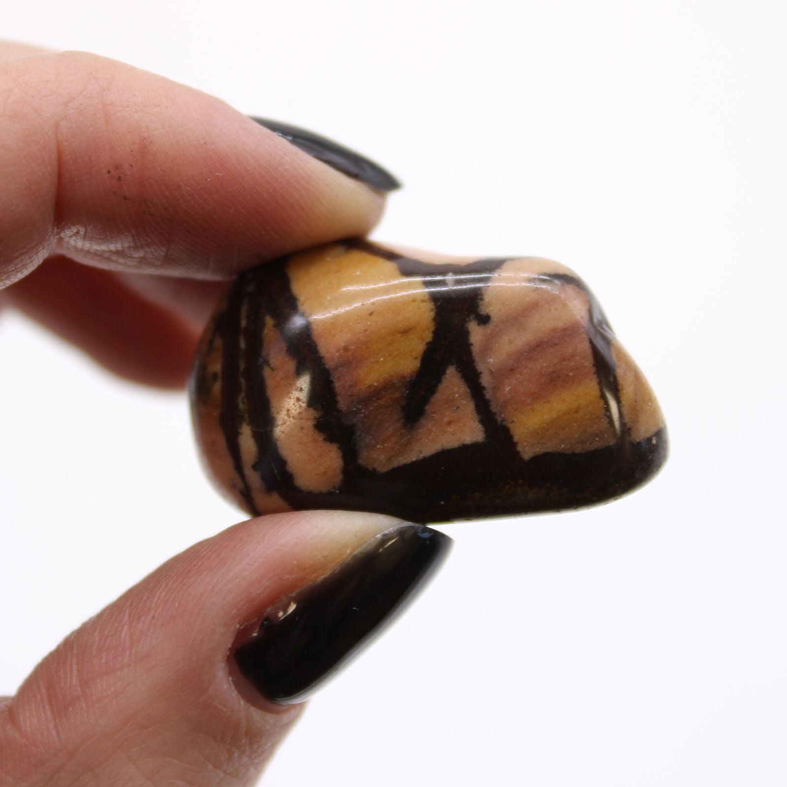 African Tumble Stone x12 - Medium - Jasper Nguni