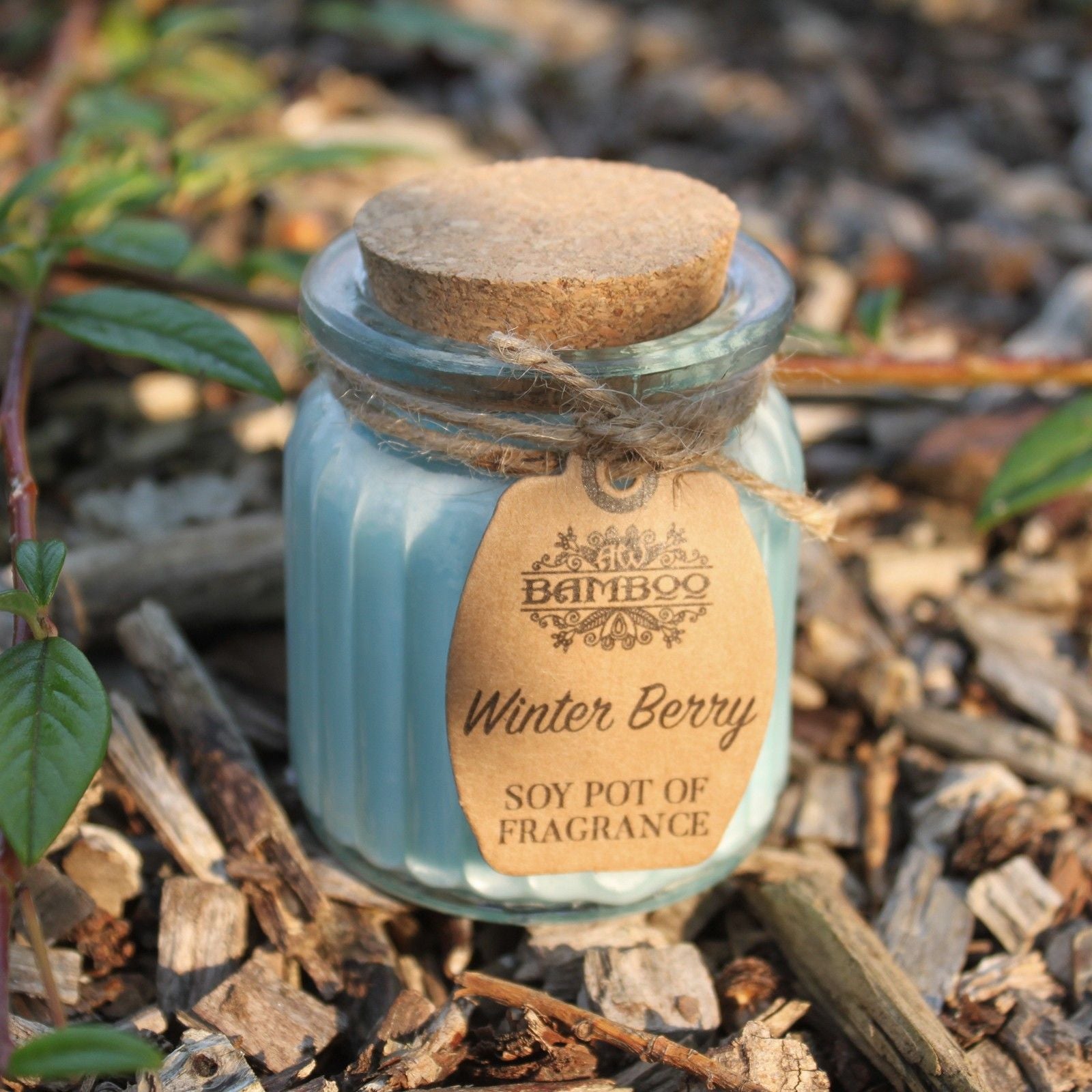 Soy Fragrance Candle Pot – Winter Berry