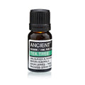 Essential Oil 10ml - Tea Tree