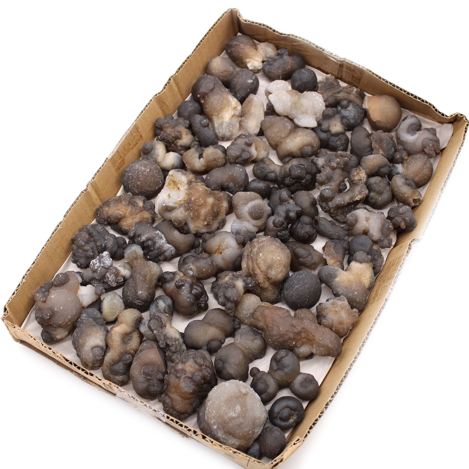 Mineralien - Chalcedon (ca. 100 Stücke pro Tablett)