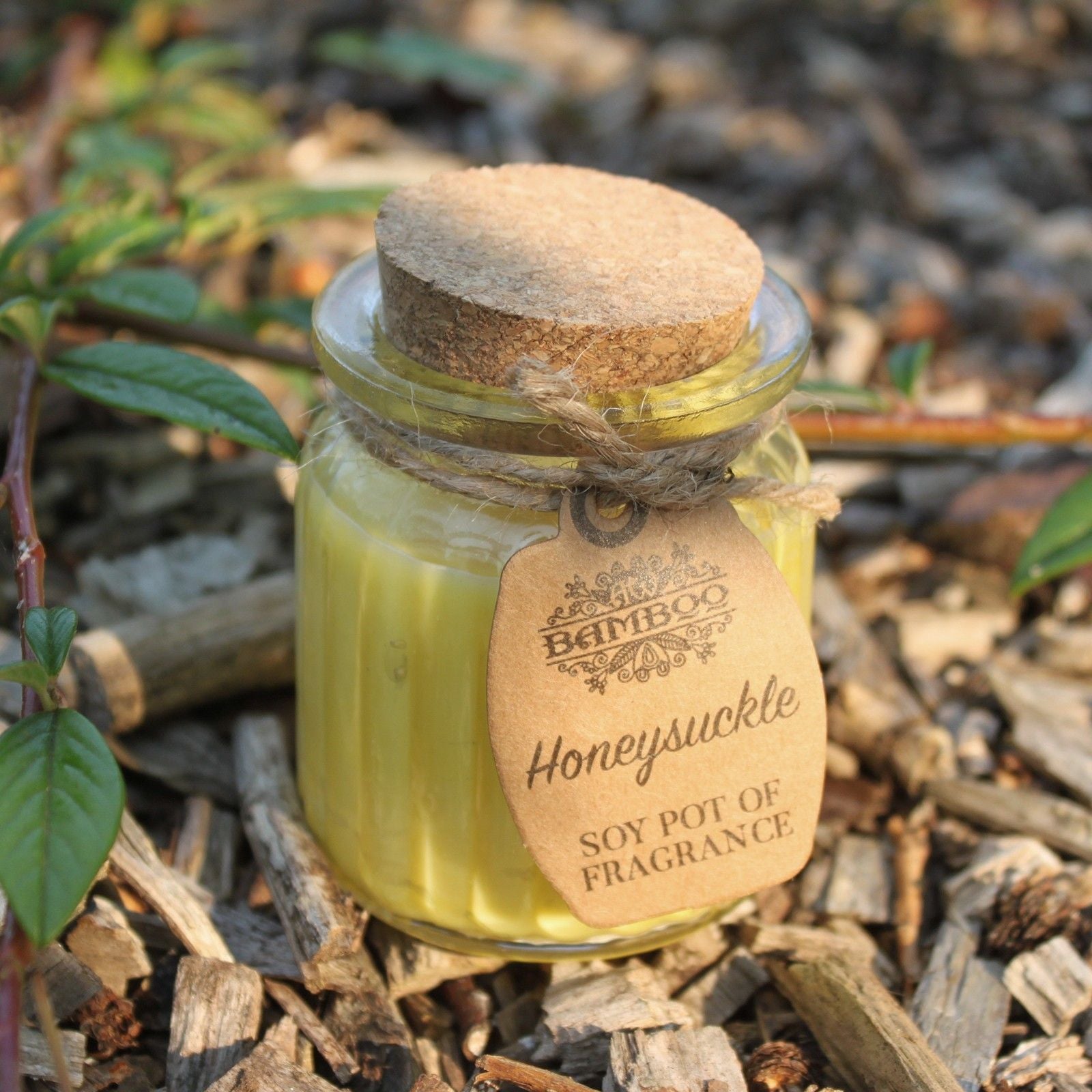 Soy Fragrance Candle Pot – Honeysuckle