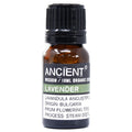 Essential Oil 10ml (Organic) - Lavender