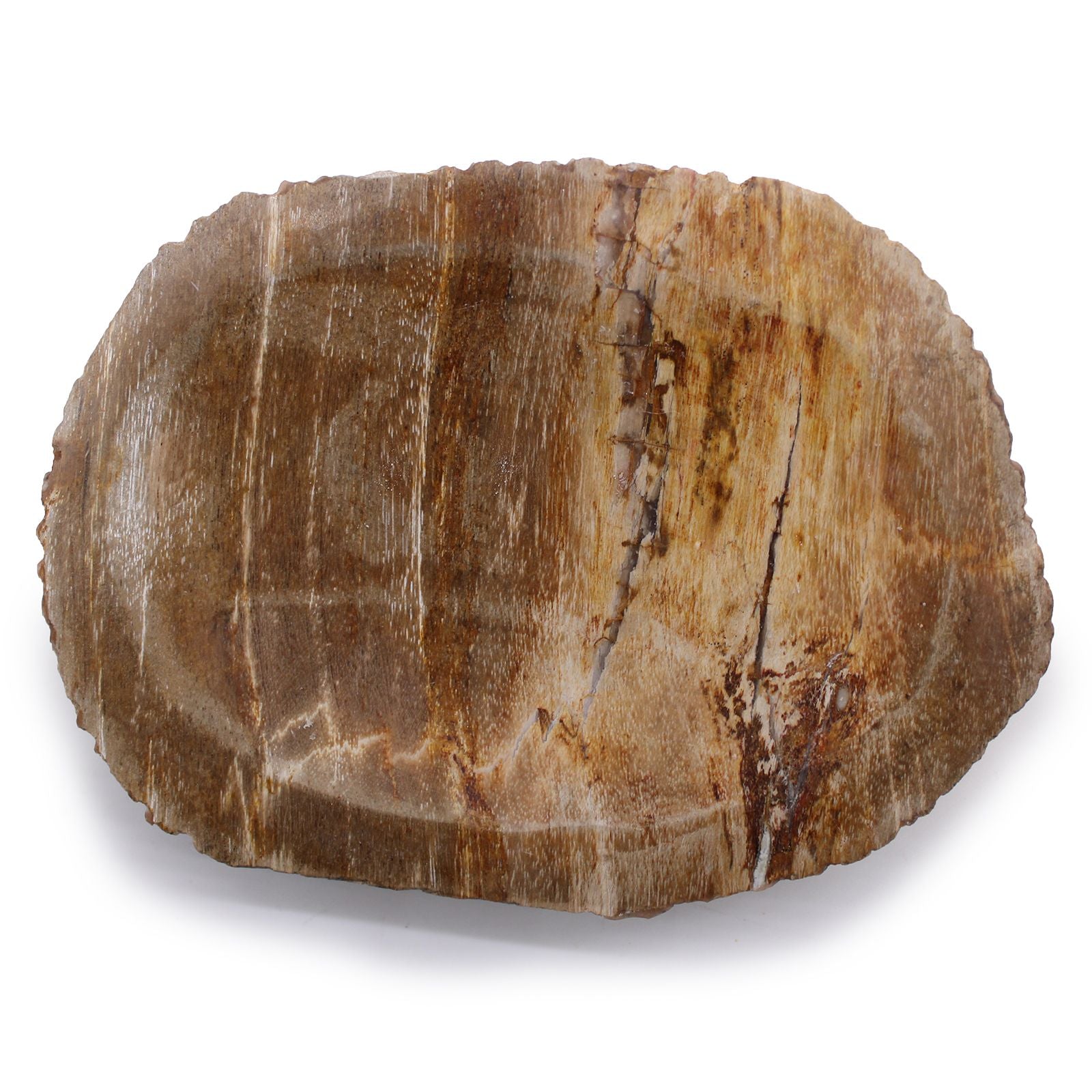 Petrified Wood – Brown Soap Dish