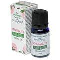 Plant Based Aroma Oil 10ml - Sensuality