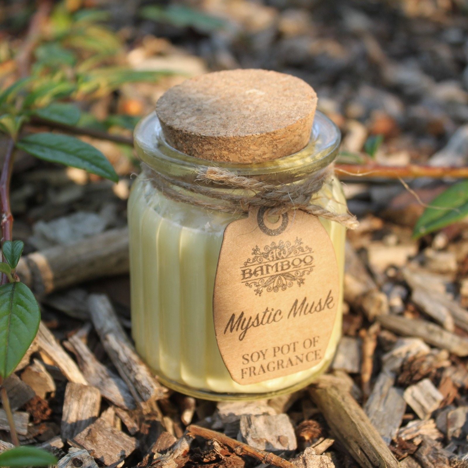 Soy Fragrance Candle Pot – Mystic Musk