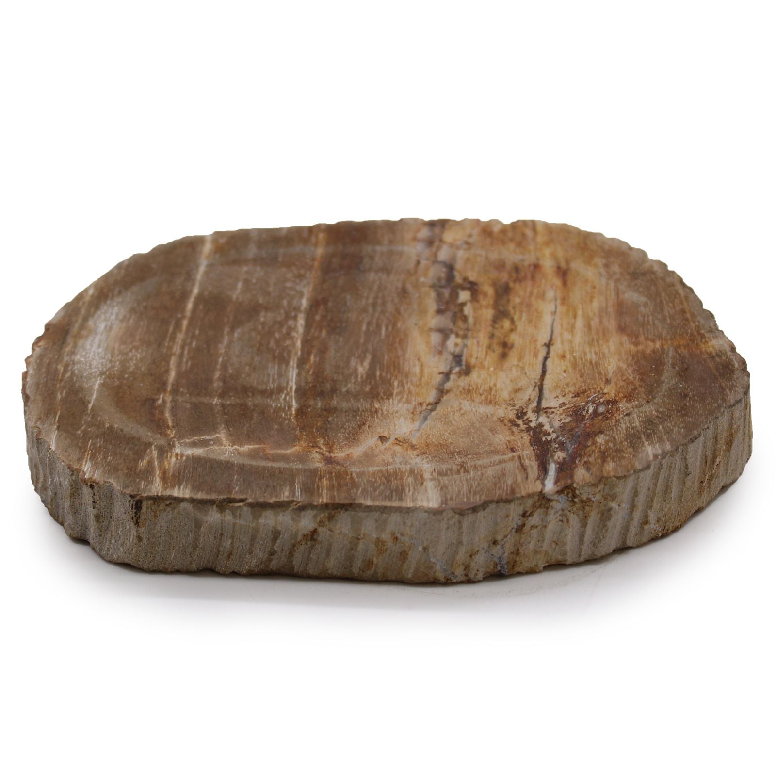 Petrified Wood – Brown Soap Dish
