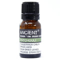 Essential Oil 10ml (Organic) - Patchouli
