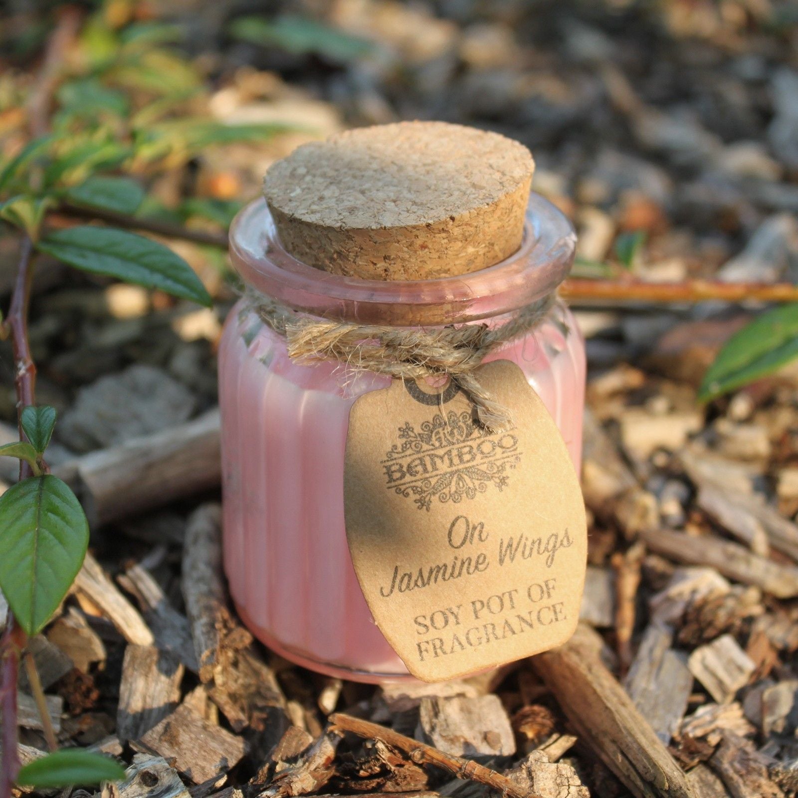 Soy Fragrance Candle Pot – On Jasmine Wings