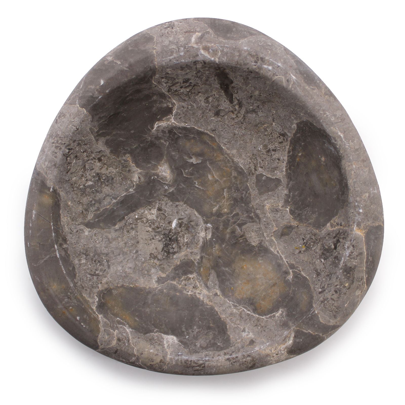 Petrified Wood – Tri-Oval Soap Dish