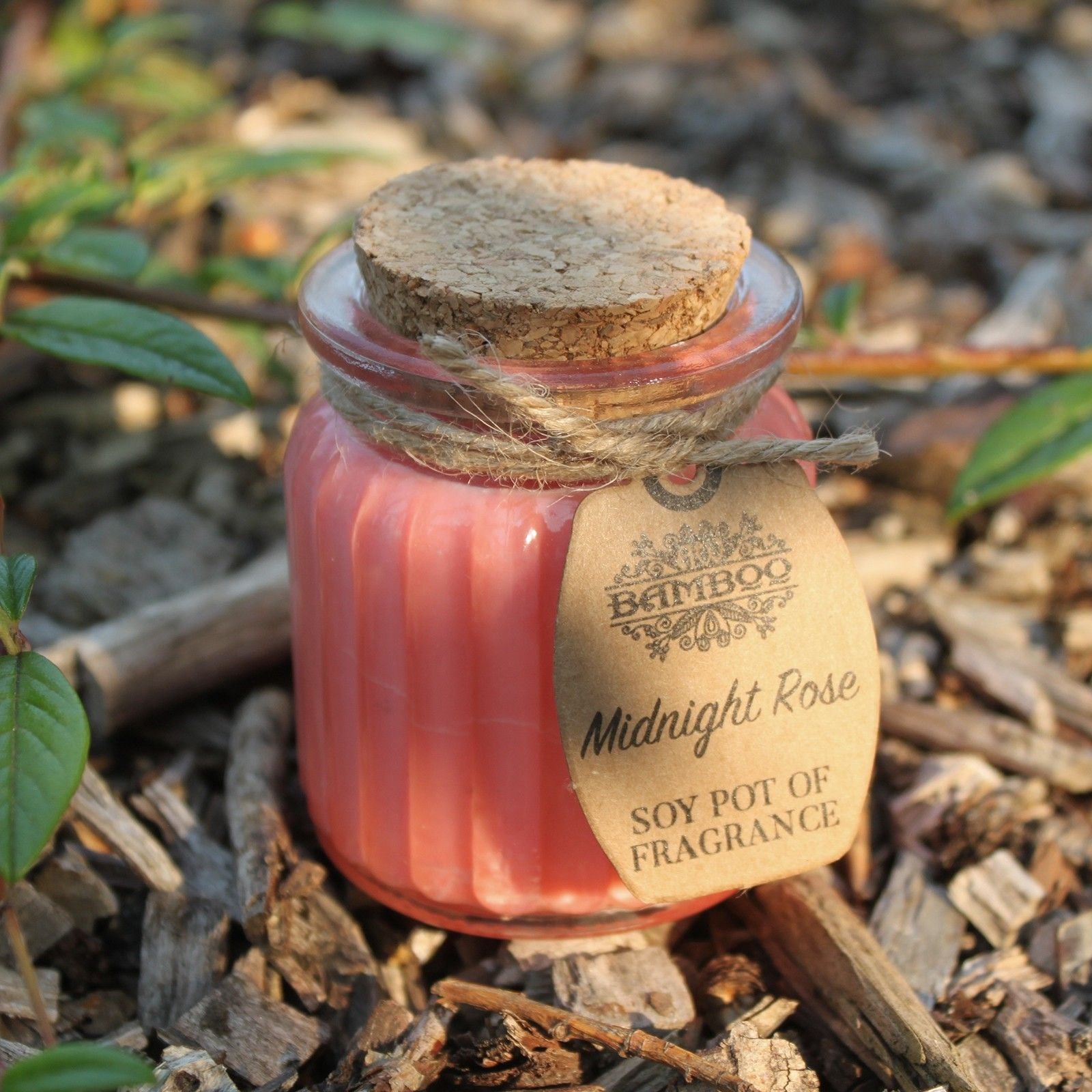 Soy Fragrance Candle Pot – Midnight Rose