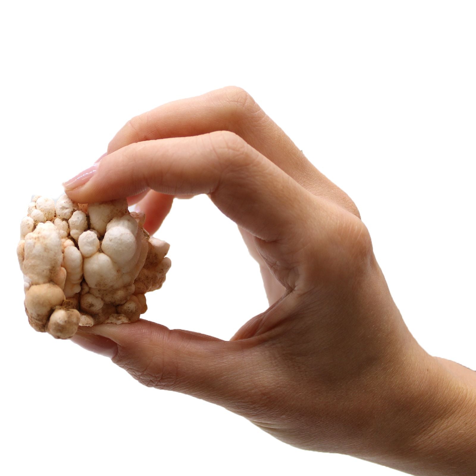 Mineral Specimens - Flower Calcite (Approx. 20 Pieces per Tray)