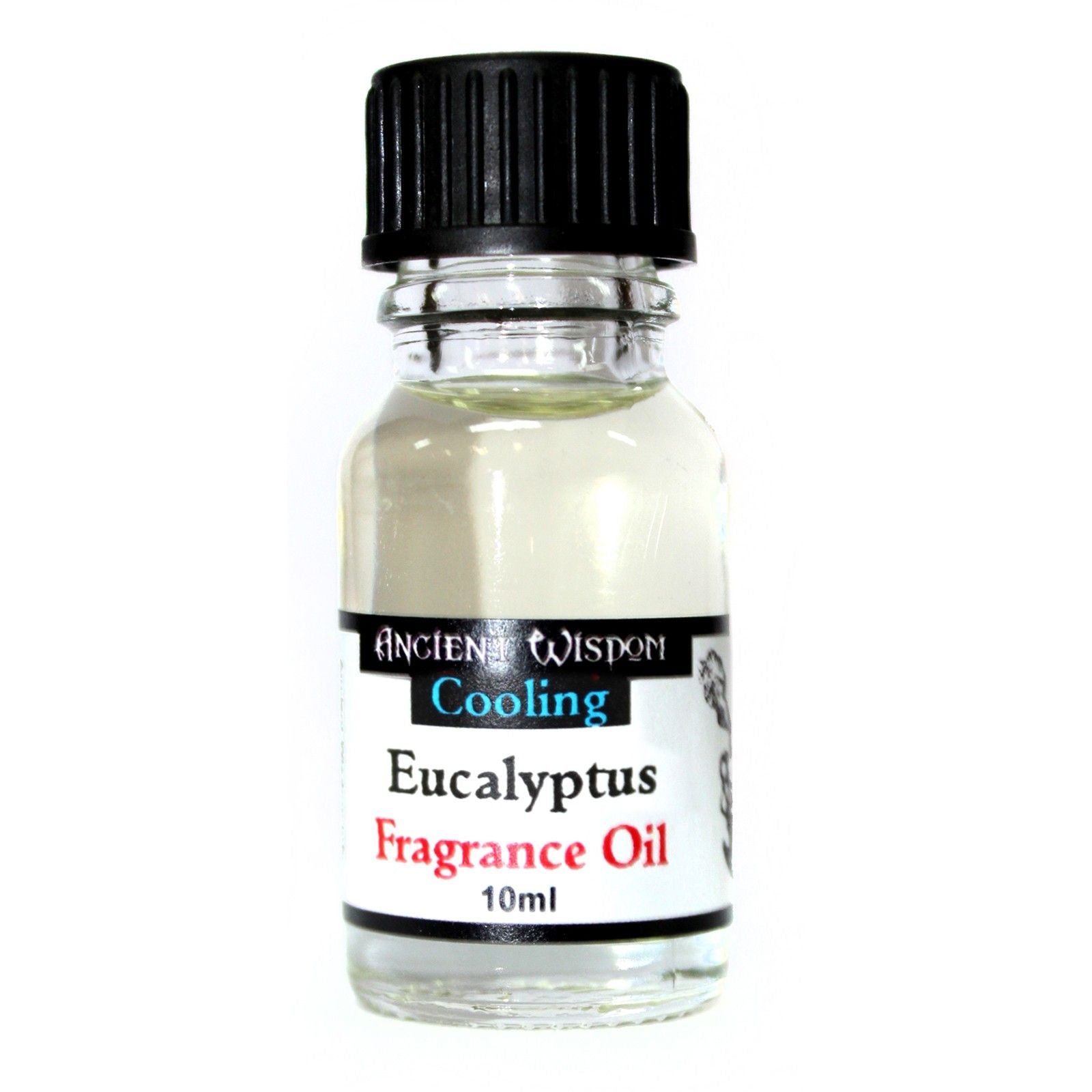 Fragrance Oil 10ml - Eucalyptus